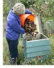 Browns for Composting by Jolene Adams