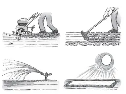 solarization process