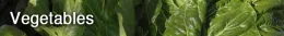 Vegetables