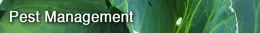 Pest Management