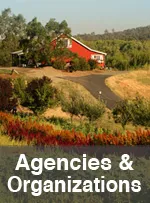 Agencies and Organizations