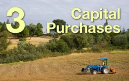 3: Capital Purchases