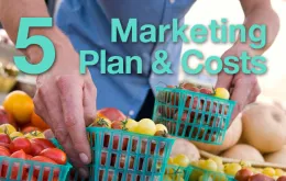 5: Marketing Plan and Costs