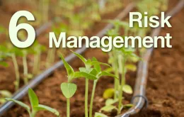 6: Risk Management
