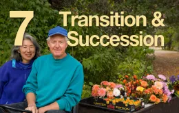 7: Transition & Succession