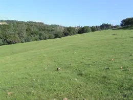 Nutrient Network: A Cross-site Investigation of Bottom-up Control Over Herbaceous Plant Community Dynamics and Ecosystem Function