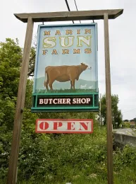 MSF Butcher Shop_vertical