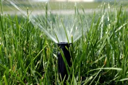 Lawn_sprinkler