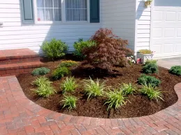 Densler-front-4 copy