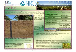 feliz soil info sheet