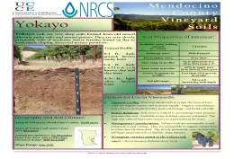 Yokayo soil info sheet