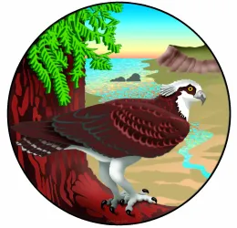 Stewards logo colorized