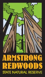 Armstrong Graphic