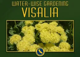 Visalia Gardening