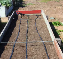 Raised bed and irrigation at Treasure Island Job Corps Farm, San Francisco.