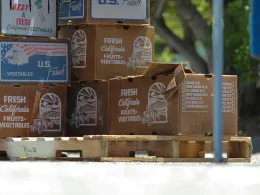 Farm boxes at a farmers market