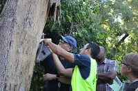 Current Projects - Natural Resources