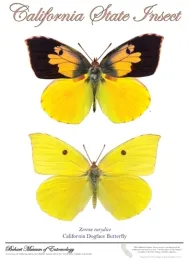 This poster is the work of Fran Keller and Greg Kareofelas.