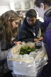 Natalie Hunter of Hillview Organics, Jose Rodriguez of Team Sierra and UCCE advisor Julia Van Soelen Kim look at a box of red-vein sorrel.