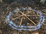 Starting the Bird Nest