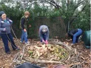 Building the Bird Nest
