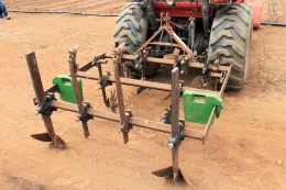Cultivator weeding sweet potatoes