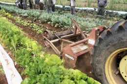 Rototiller and bed shaper