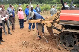 Winged ripper shanks