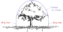 tree_dripline