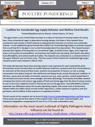 Edition 5 Summer 2015