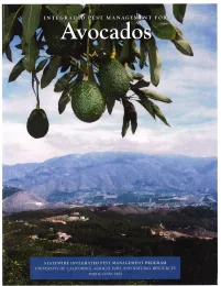 IPM for Avocados