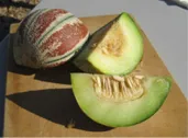 melon3