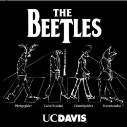 An entomologist's view of The Beatles--this one is appropiately titled