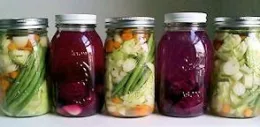 Fermented-foods