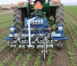 Photo 1. Robovator intelligent cultivators