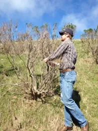 Livestock Advisor Jeff Stackhouse