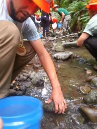 FIT participants flip over rocks to search for amphibians.