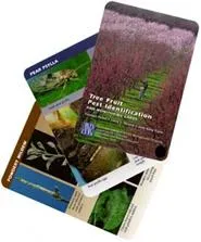 A collection of four tree fruit pest identification cards, featuring images of pink flowering trees and various pests related to fruit trees.