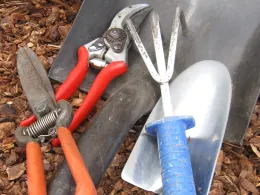 Assorted tools, photo by Allen Buchinski
