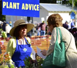 A woman in a straw hat and blue apron provides plant advice at a garden fair, while speaking with another woman in a light sweater. A vibrant atmosphere with plants and a blue "PLANT ADVICE" sign.