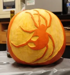 A black widow spider disguised as a pumpkin. (Photo by Kathy Keatley Garvey)