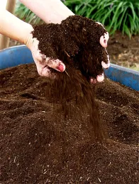 Soil amendment<br>(click to enlarge)