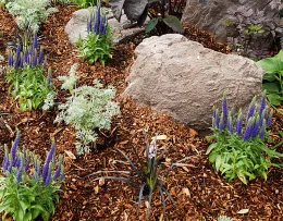 Mulch (click to enlarge)