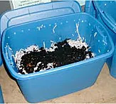 Worm bin ready