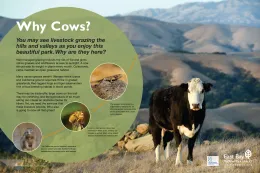 Grazing Panels - Briones - Finals_Page_2