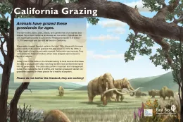 Grazing Panels - Briones - Finals_Page_3