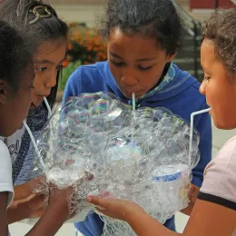 4-H Science Afterschool