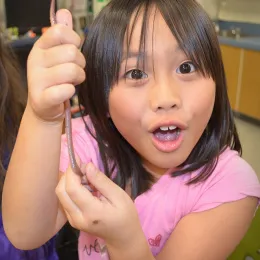 4-H Youth Experiences in Science