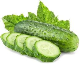 Cucumber