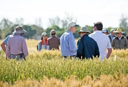 2017 FieldDay (photo credit: E. Kilmartin)